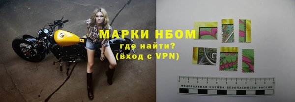 индика Абинск