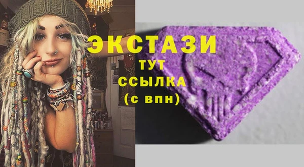индика Абинск