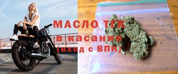 индика Абинск