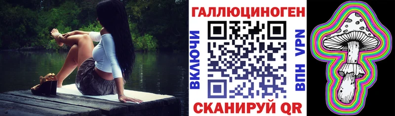 где купить наркотик Куртамыш Псилоцибиновые грибы прущие грибы