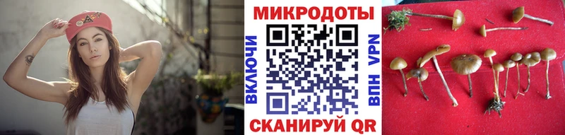Галлюциногенные грибы мухоморы Куртамыш