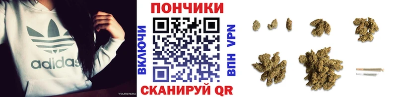 где продают наркотики  МЕГА как войти  Марихуана планчик  Куртамыш 